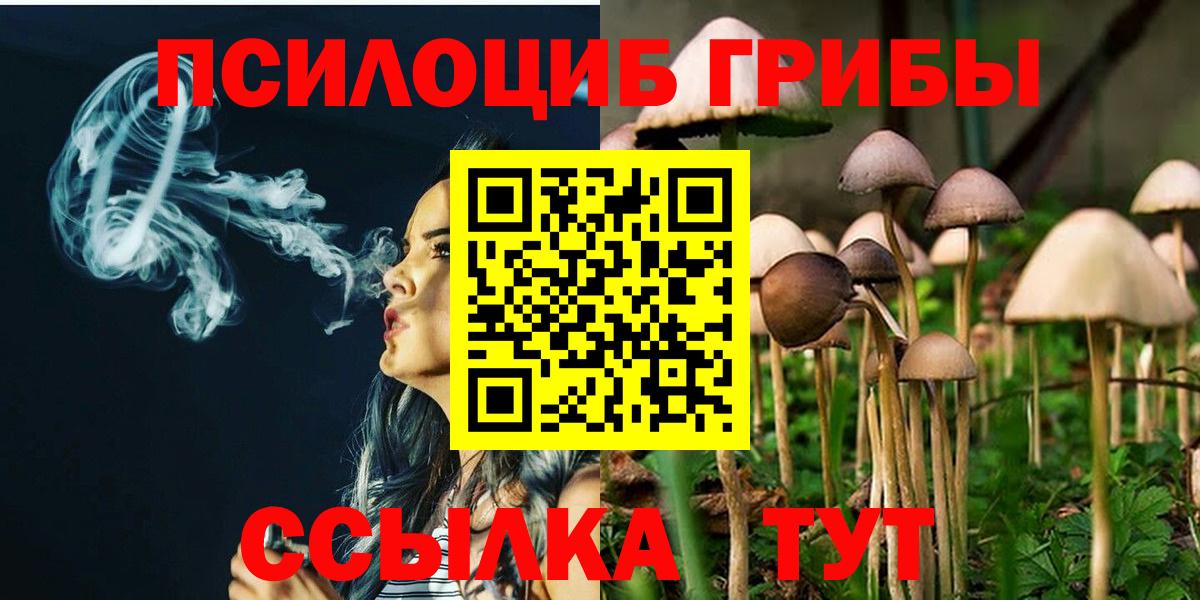 Галлюциногенные грибы Psilocybine cubensis  Псилоцибиновые грибы мицелий  Вход с VPN  Выборг 