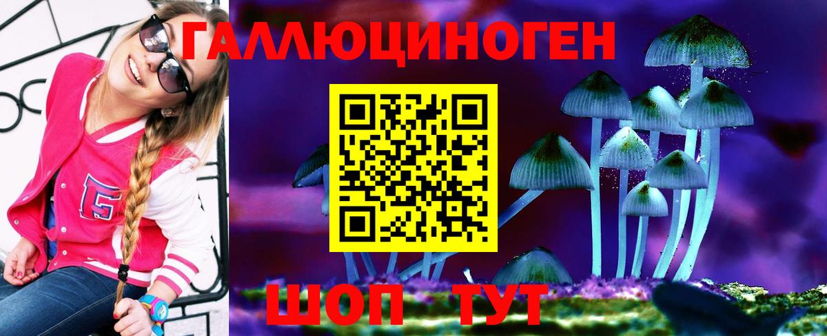 Псилоцибиновые грибы мицелий Выборг
